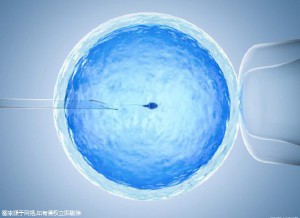专业拉拉代怀助孕费用多少